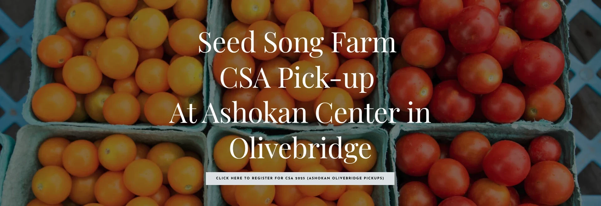 Fresh, Local, and Right at Ashokan: Seed Song Farm CSA Returns for 2025!